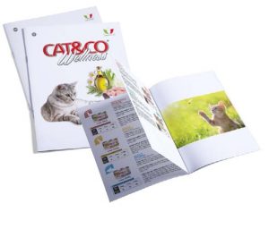 Brochure Cat & Co Wellness