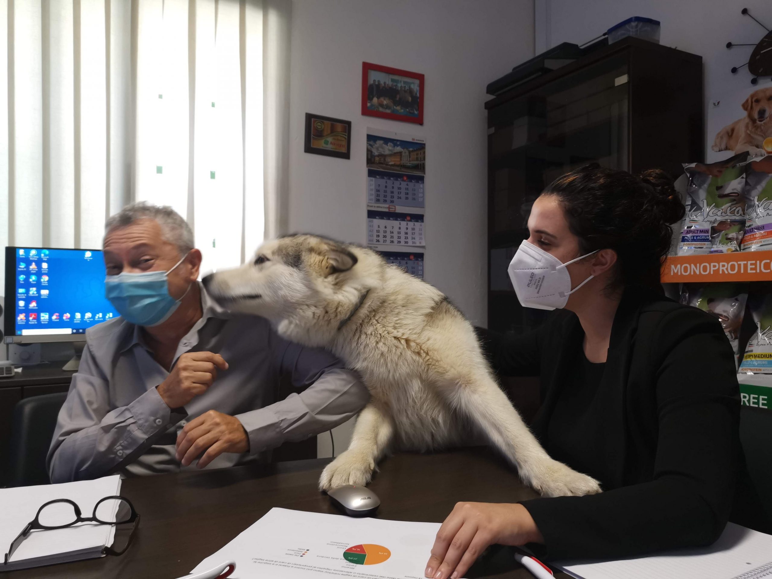 Sasha esprime la sua opinione durante un meeting interno